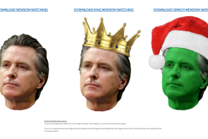 newsom republicans.png