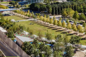 PARK FULL.PNG