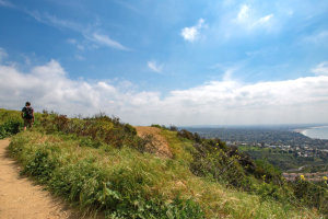 Mejores lugares para senderismo en Los Ángeles - Los Liones Trails