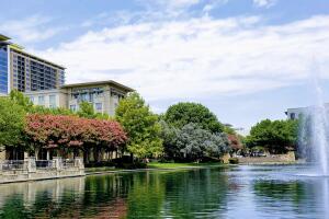 A View of the Skyline Austin