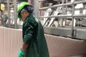 Menor limpiando en Grand Island