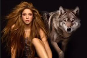 Shakira concierto Time Square