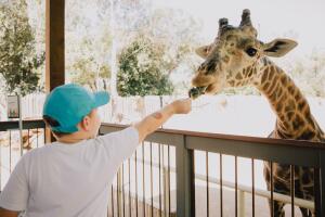 Zoológico Sacramento.jpeg