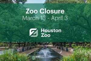 Zoologico de Houston.jpg