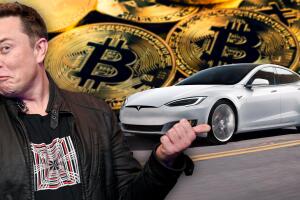 elon_bitcoins.jpg