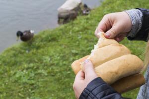Alimentando patos en el parque