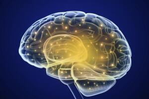 cerebro-think_0.jpg