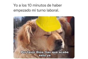 memes-lunes.png