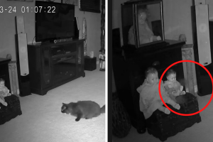 collage_mueñcas_historia_tiktok