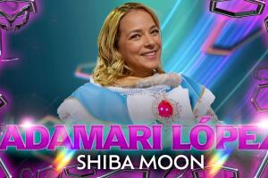 QELM-T7-shiba-moon-site (1).jpg