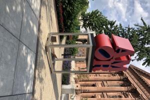 MANIFESTACION FILADELFIA DIA 8 /IMG_2382.JPG