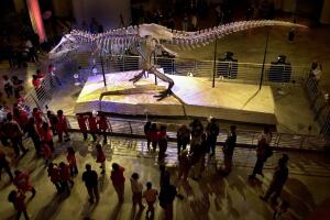 Field Museum Overhaul
