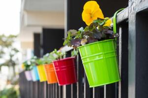 Mini jardineria en casa.jpg