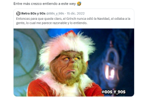 meme-un-dia-eres-joven-al-otro (12).png
