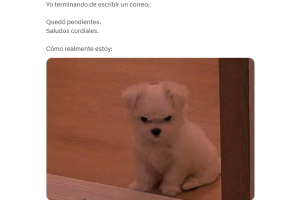 memes-correos-godinez (1).png