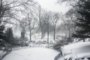 NY amanece totalmente blanca por tormenta de nieve