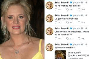 Estos fueron los primeros tuits de Erika Buenfil pidiendo a una persona que "no le manadara nada".