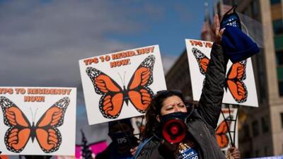 Comité Judicial del Senado debatirá planes que incluyen ciudadanía para dreamers, titulares de TPS y campesinos