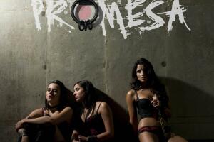 poster_la_promesa.jpeg