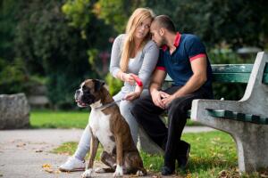 tener-perro-pareja-2.jpg