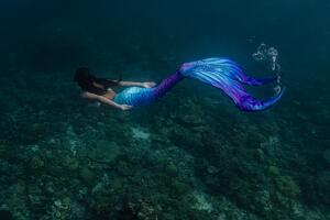 Captan supuesto canto de una sirena.
