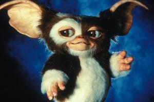 Gizmo Gremlins 2.jpg