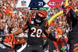 Panthers vs Bengals, NFL