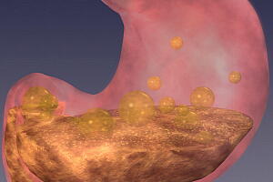 sistema-digestivo-video-2.jpg