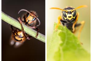 BeFunky-collage (19).jpg