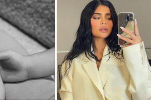 wolf webster jenner (2).jpg