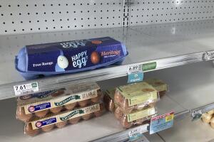 Soaring Egg Prices