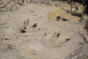 Dinosaur Valley Park y poblados texanos