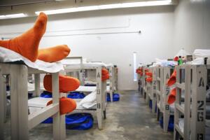Immigration Courts