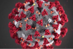 Coronavirus