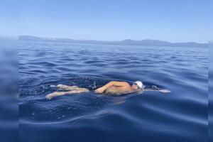 BeFunky-design (30).jpg