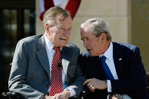 Bush