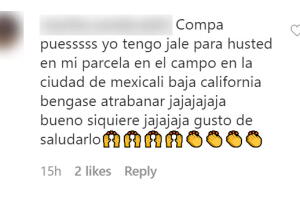 ornellas2.jpg