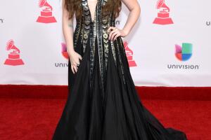 The 17th Annual Latin Grammy Awards - Arrivals