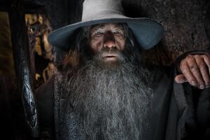 Gandalf Ian Mckellen The Lord Of The Rings y The Hobbit Grosby.jpg