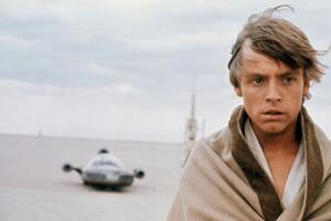 luke2_0.jpg