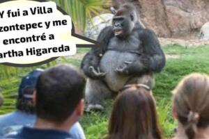 gorila_meme5.jpg