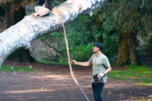 Hijos Brad y Angelina