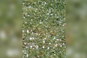 GRANIZO/GranizoHouston6.jpg