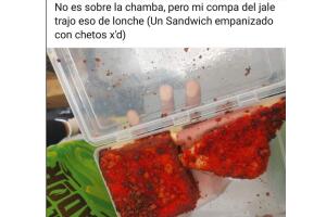 Sándwich empanizado con chetos