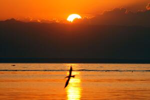 Salton Sea, California
