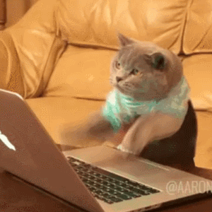 Tómate un break de 5 minutos para ver estos 10 GIFs de ...