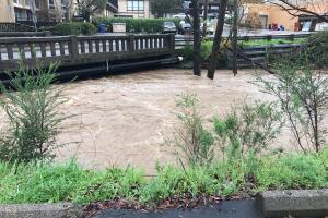 Fuertes lluvias en el norte de California provocan inundaciones en el Área de la Bahía