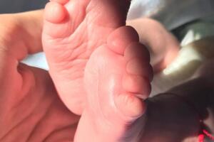 Julián Gil, Marjorie y Matías