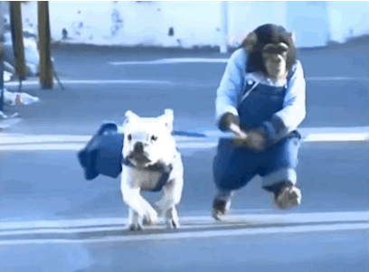 ejercicio-perro-3.gif