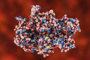 coagulation-factor-viii-protein.jpg